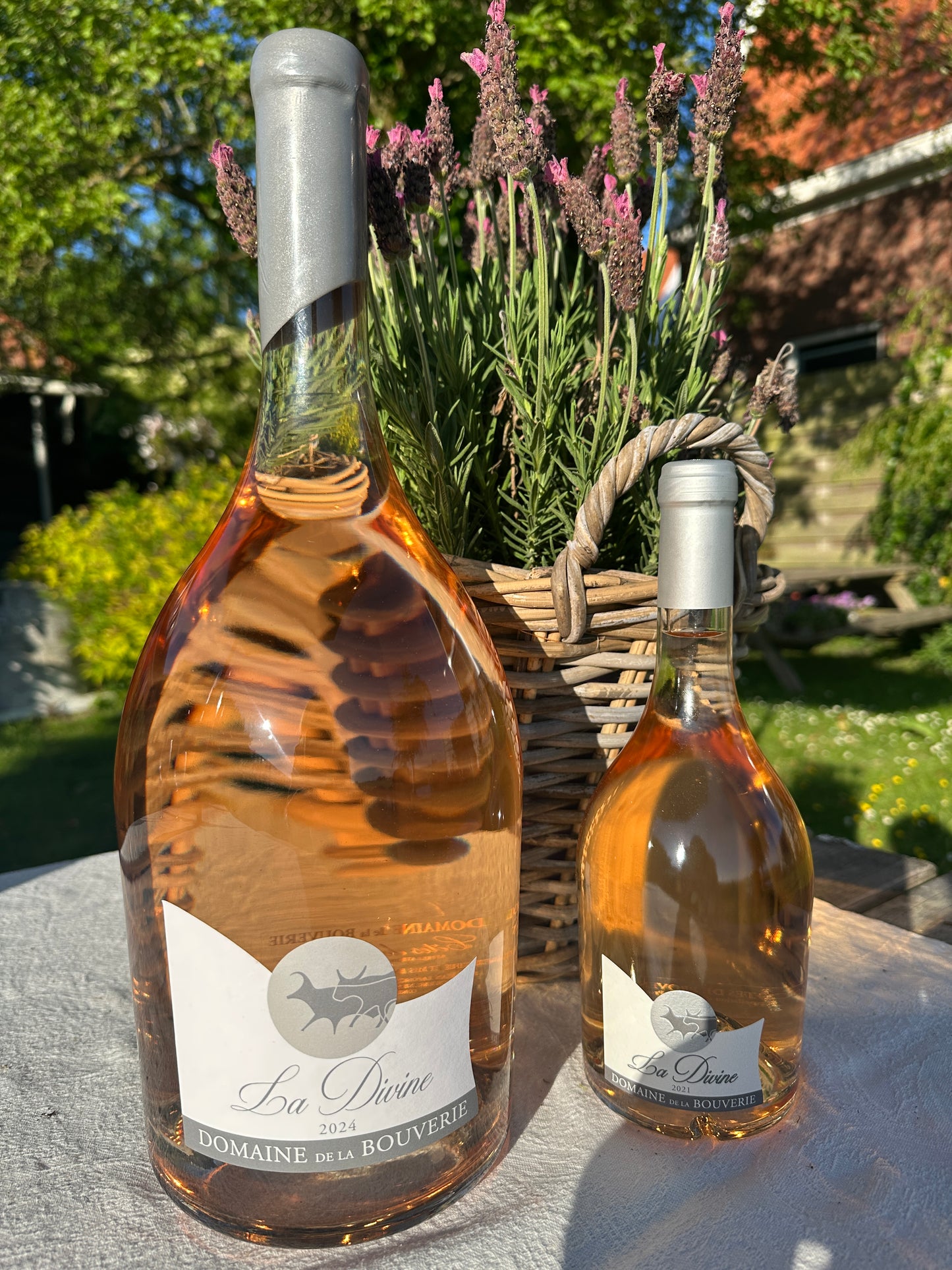 La Divine Rose 300 cl
